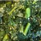 Green Salad